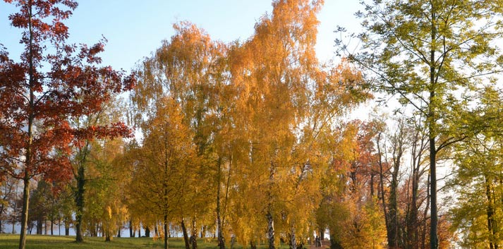 Maple Valley Events Calendar Recurring Events Maple Valley Events Calendar Recurring Events