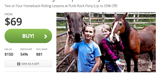 maple-valley-deals-punk-rock-pony